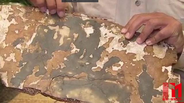疑似马航MH370残骸现烧焦痕迹 或首次证明机上曾着火