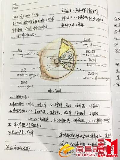 90后美女护士手术笔记走红 字迹工整解剖图手绘