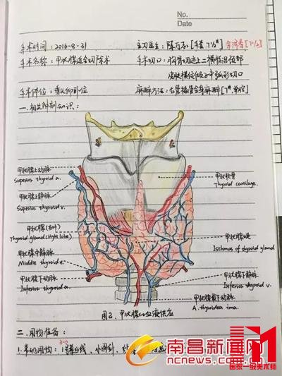 90后美女护士手术笔记走红 字迹工整解剖图手绘