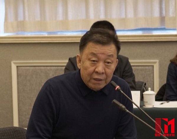 中华文化促进会会长王石先生