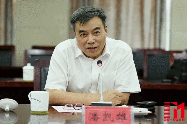 中国出版集团副总裁潘凯雄致辞