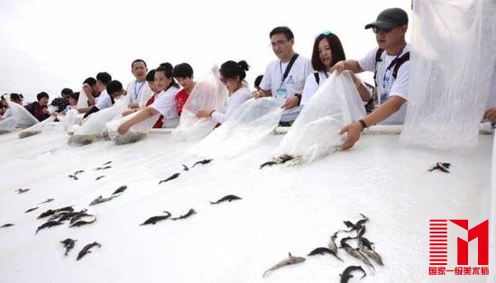 百人“放流团”在黑龙江畔参与放流。
